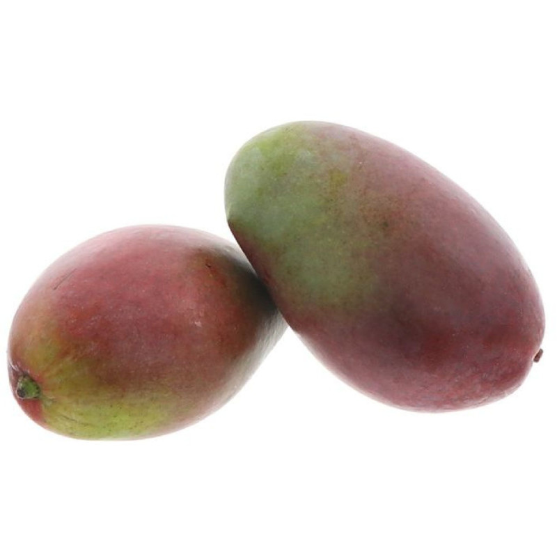 BIO MANGUE OSTEEN 9PCS